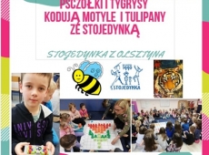 przedszkole-koduje-ze-stojedynka-owady-009