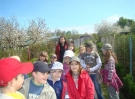 2007-2008-wiosna-na-dzialkach-spacer-2