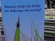 bezpieczne_wakacje_sanepid_015