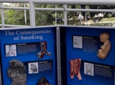 bezpieczne_wakacje_sanepid_017