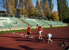 czwartki-lekkoatletyczne-12
