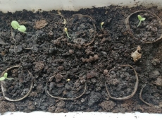 23img_20230216_101734