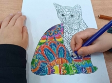 23434264729_796647829038340_5805678438373663051_n