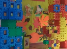 wp_20191118_13_45_38_pro-009