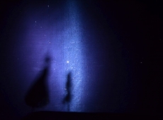 ferie_ze_stojedynka_007