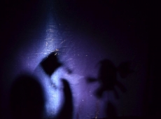 ferie_ze_stojedynka_011