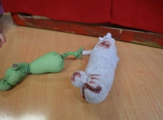 ferie_ze_stojedynka_040