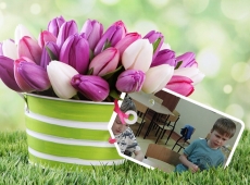 loonapix_1523786839520658456