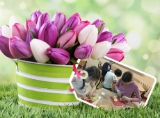 loonapix_152378691352028815