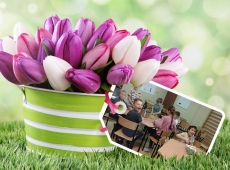 loonapix_1523786974520849431