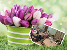 loonapix_1523787026520793089