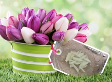 loonapix_1523787073520672799