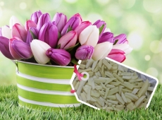 loonapix_1523787102521128021