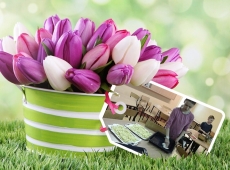 loonapix_152378714852101906