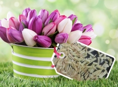 loonapix_1523787197521049377