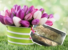 loonapix_1523787260520748868