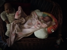 img_20201029_225358-022