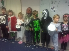 wp_20191031_13_51_07_pro-029