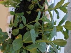 23img_20230509_131735