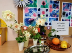 23img_20230509_132219