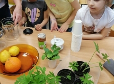 23img_20230509_140101