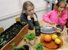 23img_20230509_140131