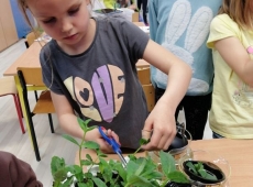 23img_20230509_140236