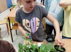 23img_20230509_140239