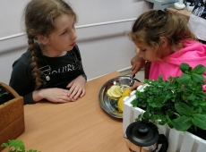 23img_20230509_140528