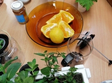 23img_20230509_140643