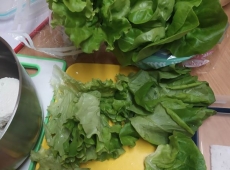 23received_1523663498157252