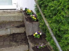 23received_226380563376622