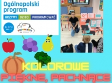 kolorowe-piekne-pachnace-010