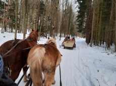 resized_20210216_092843