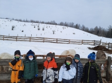 resized_20210216_0947451