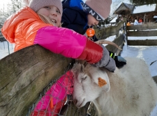 resized_20210216_110729