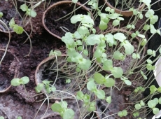 23img_20230327_124640