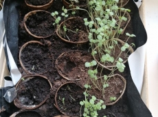 23img_20230327_124646