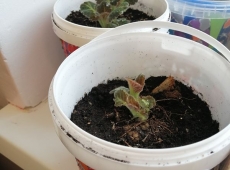 23img_20230327_124705