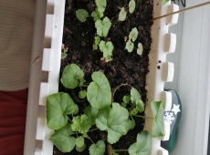 23img_20230331_114657