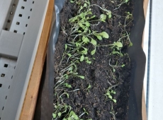 23img_20230417_120033