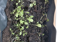 23img_20230417_120040