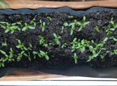 23img_20230417_120052