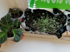 23img_20230417_120729