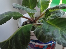 23img_20230424_161937