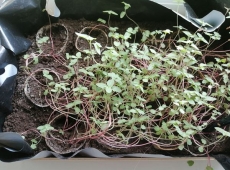 23img_20230424_161942