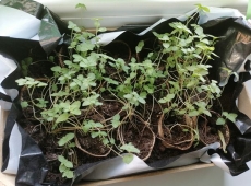 23img_20230424_161946