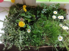 23img_20230424_162102