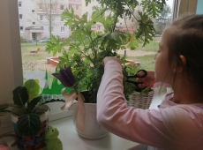 23img_20230426_120541