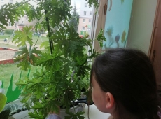 23img_20230426_120637